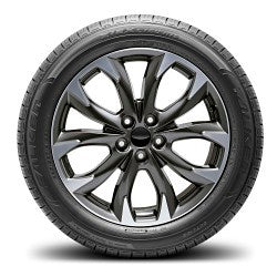 275/45R21 107W FAL ZIEX CT60A A/S BW
