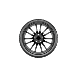 295/35R19XL 104V PIR P ZERO MS(MO1Ext) R-F BW